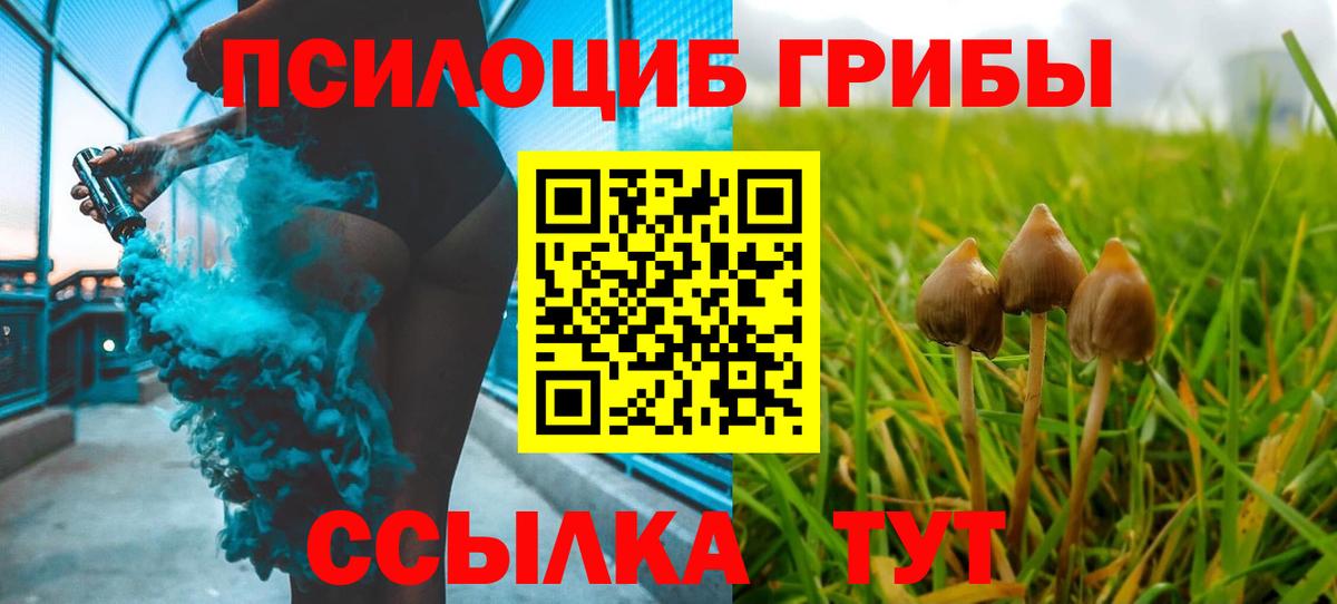 Галлюциногенные грибы Psilocybine cubensis Сызрань